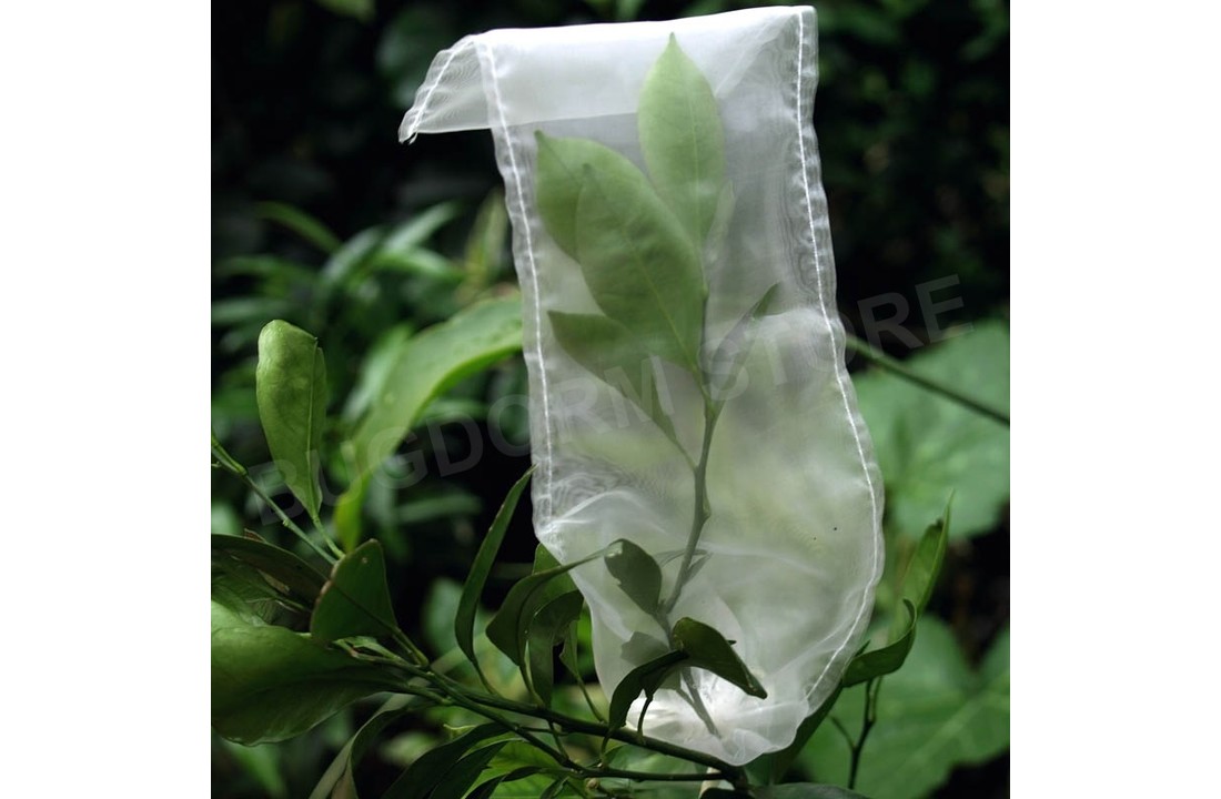 DC3210 Insect Rearing Bag (L30 x W10 cm)