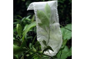 Bugdorm DC3210 Insectenkweekzak (L30 x B10 cm)