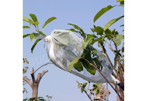 Bugdorm DC3000W-S Insect Rearing Sleeve (L40 x W20 cm)