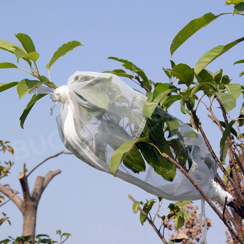 Bugdorm DC3000W-S Insect Rearing Sleeve (L40 x W20 cm)