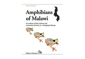Amphibians of Malawi