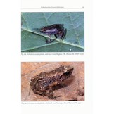 Amphibians of Malawi - An Analysis of their Richness and Community Diversity in a Changing Landscape