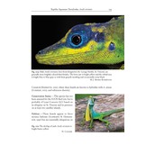 Amphibians and Reptiles of the St. Vincent and Grenada Banks, West Indies