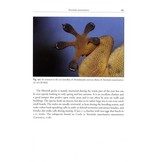 The Herpetofauna of Corfu and Adjacent Islands