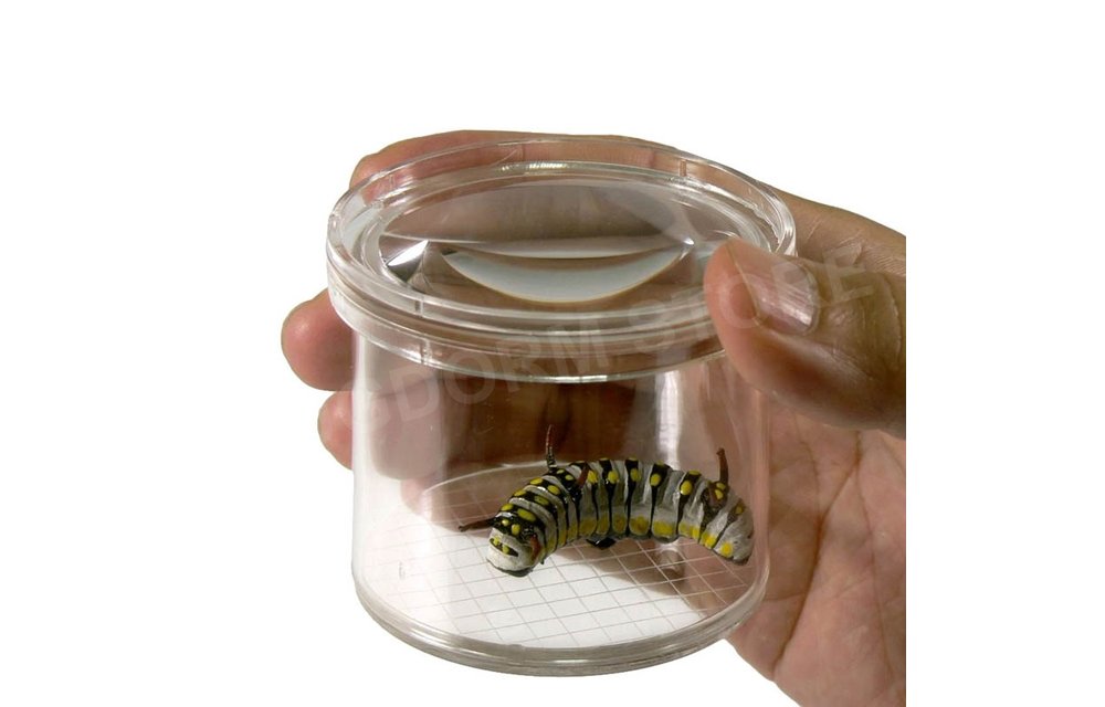 DP0240 Magnifying Insect Viewer