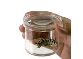 Bugdorm DP0240 Magnifying Insect Viewer