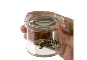 Bugdorm DP0240 Lupenbecher für Insekten