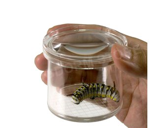 Bugdorm DP0240 Lupenbecher für Insekten