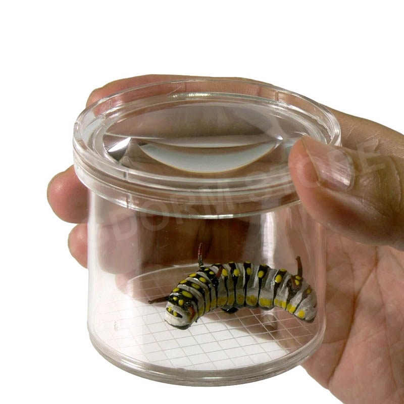 Bugdorm DP0240 Lupenbecher für Insekten