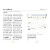 The Pocket Book of Bird Anatomy