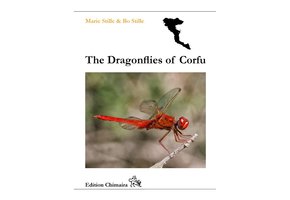 The Dragonflies of Corfu