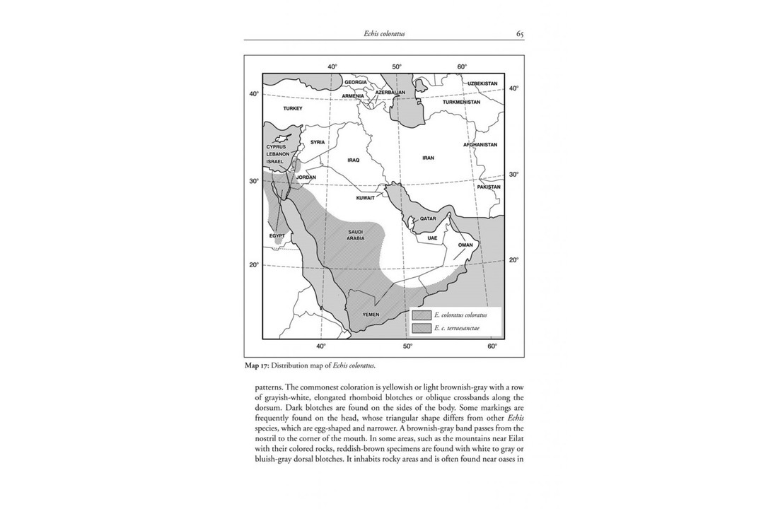 Venomous Terrestrial Snakes of the Middle East