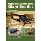 Professional Breeders Series Giant Beetles of the Genera Dynastes and Megasoma