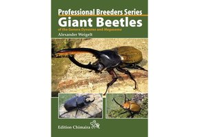 Professional Breeders Series Giant Beetles of the Genera Dynastes and Megasoma