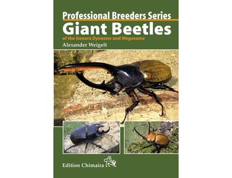 Professional Breeders Series Giant Beetles of the Genera Dynastes and Megasoma