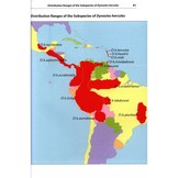 Professional Breeders Series Giant Beetles of the Genera Dynastes and Megasoma