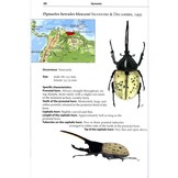 Professional Breeders Series Giant Beetles of the Genera Dynastes and Megasoma