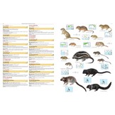 Illustrated Checklist of the Mammals of the World