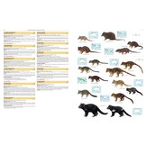 Illustrated Checklist of the Mammals of the World