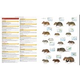 Illustrated Checklist of the Mammals of the World