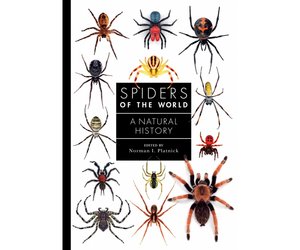 spiders-of-the-world-a-natural