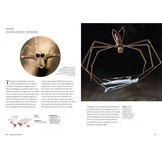 Spiders of the World - A Natural History