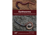 Earthworms