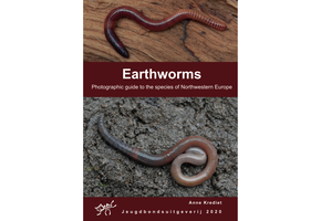 Earthworms