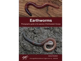 Earthworms