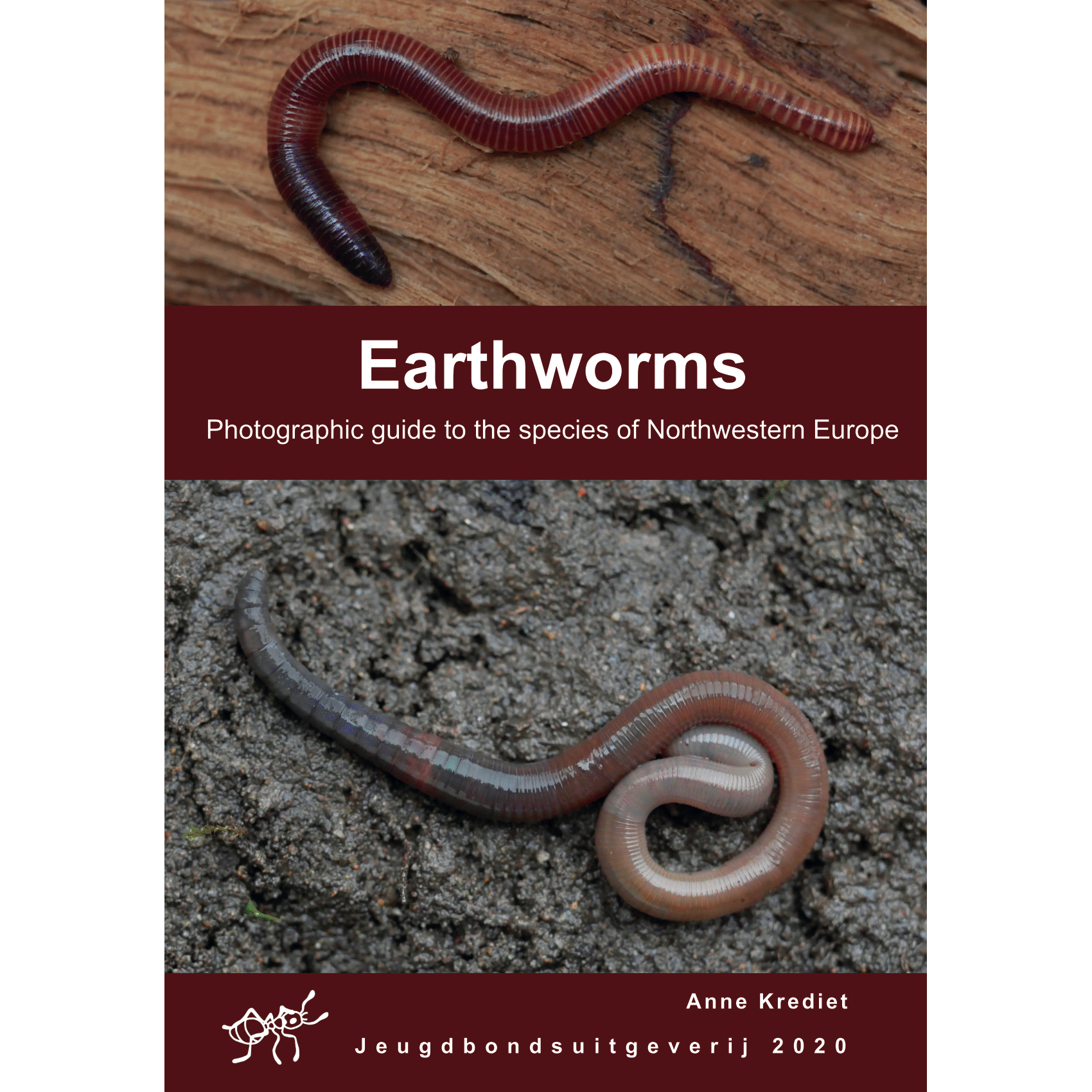 Earthworms: Photographic guide to the species of Northwestern