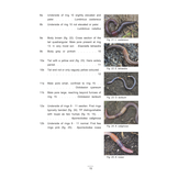 Earthworms: Photographic guide to the species of Northwestern Europe