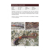 Earthworms: Photographic guide to the species of Northwestern Europe