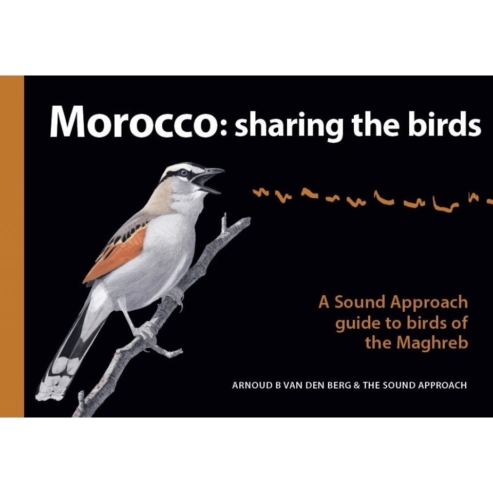 Morocco: Sharing the Birds - A Sound Approach Guide to Birds of the Maghreb
