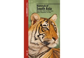 Mammals of South Asia