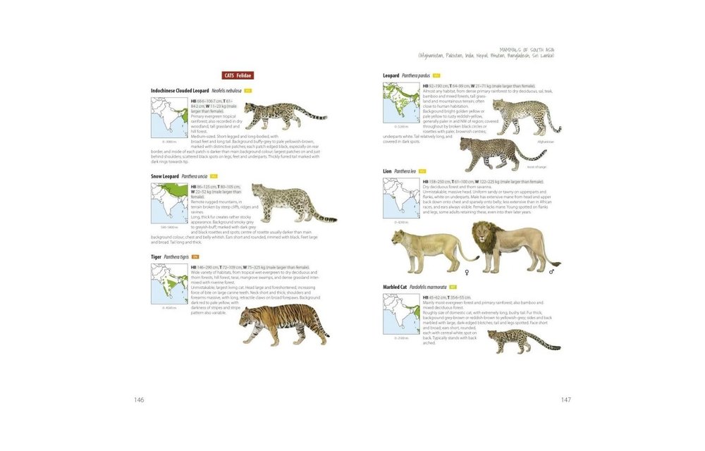 Mammals of South Asia - Afghanistan, Pakistan, India, Nepal, Bhutan, Bangladesh, Sri Lanka
