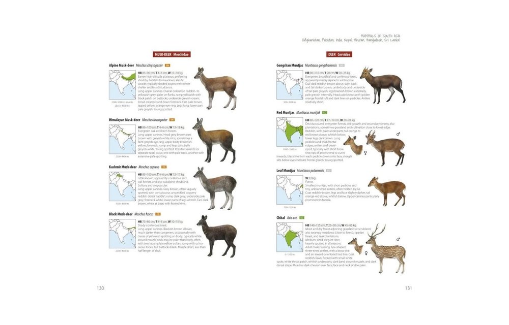 Mammals of South Asia - Afghanistan, Pakistan, India, Nepal, Bhutan, Bangladesh, Sri Lanka