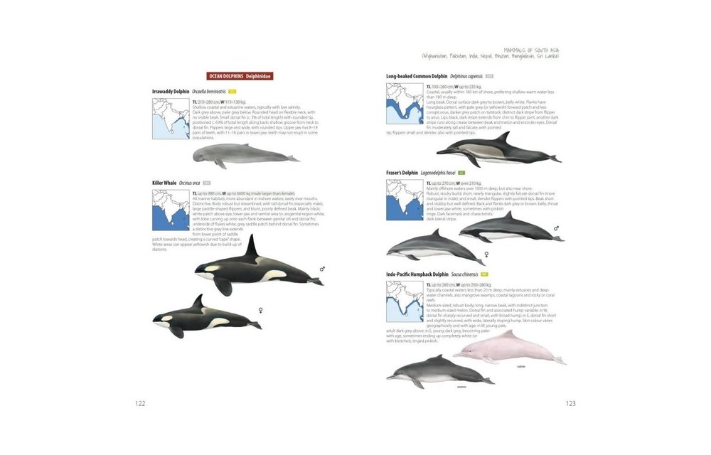 Mammals of South Asia - Afghanistan, Pakistan, India, Nepal, Bhutan, Bangladesh, Sri Lanka