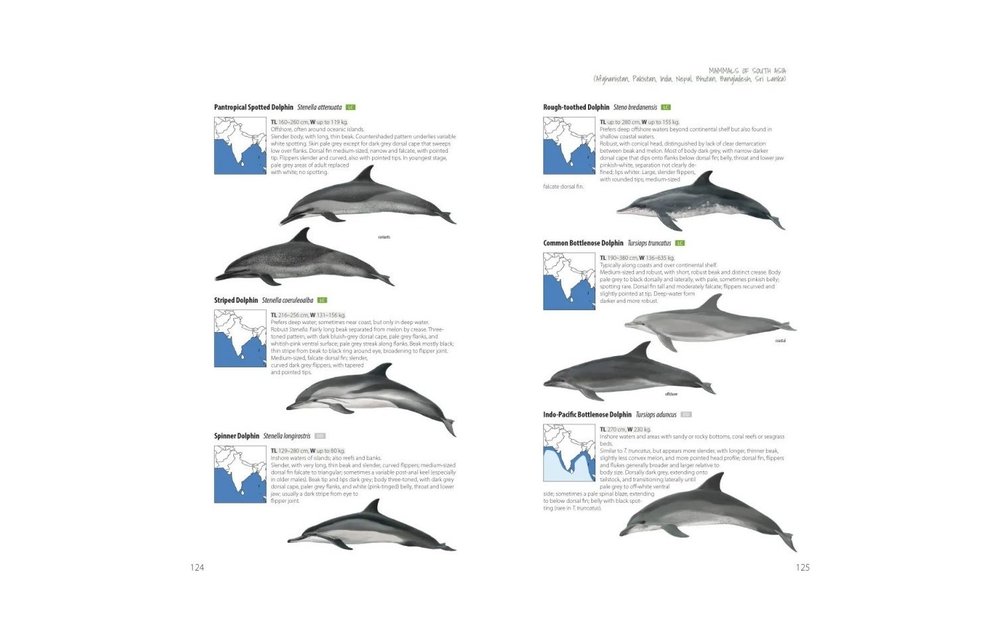 Mammals of South Asia - Afghanistan, Pakistan, India, Nepal, Bhutan, Bangladesh, Sri Lanka