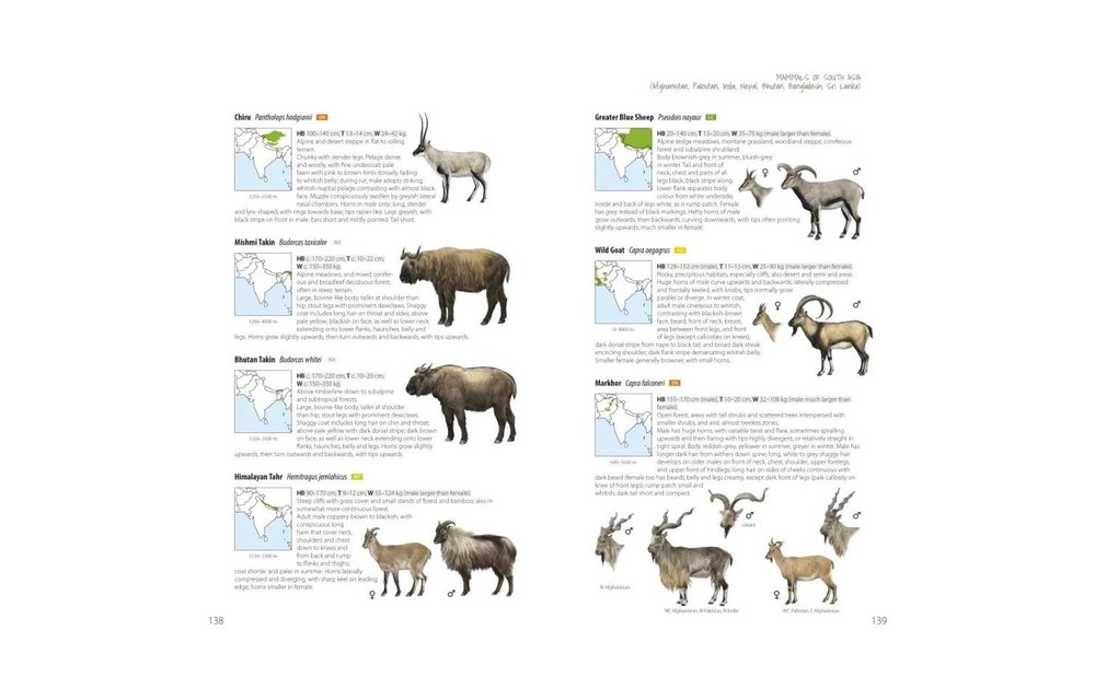 Mammals of South Asia - Afghanistan, Pakistan, India, Nepal, Bhutan, Bangladesh, Sri Lanka