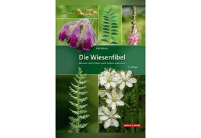 Die Wiesenfibel