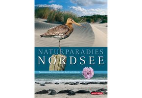 Naturparadies Nordsee