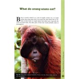 Orang-Utan: The Natural History of an Endangered Ape