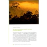 The Natural History of the Proboscis Monkey