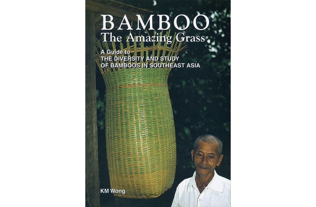 Bamboo: The Amazing Grass - A Guide to the Diversity and Study of Bamboos in Southeast Asia