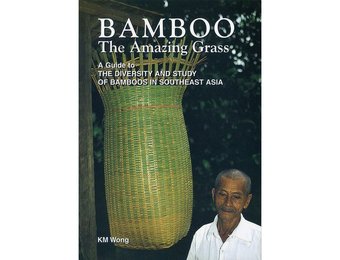 Bamboo: The Amazing Grass