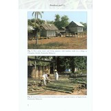 Bamboo: The Amazing Grass - A Guide to the Diversity and Study of Bamboos in Southeast Asia