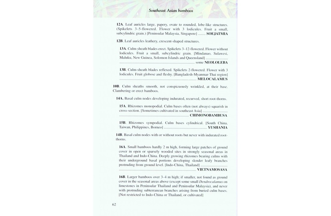 Bamboo: The Amazing Grass - A Guide to the Diversity and Study of Bamboos in Southeast Asia