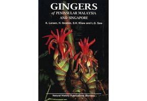 Gingers of Peninsular Malaysia and Singapore