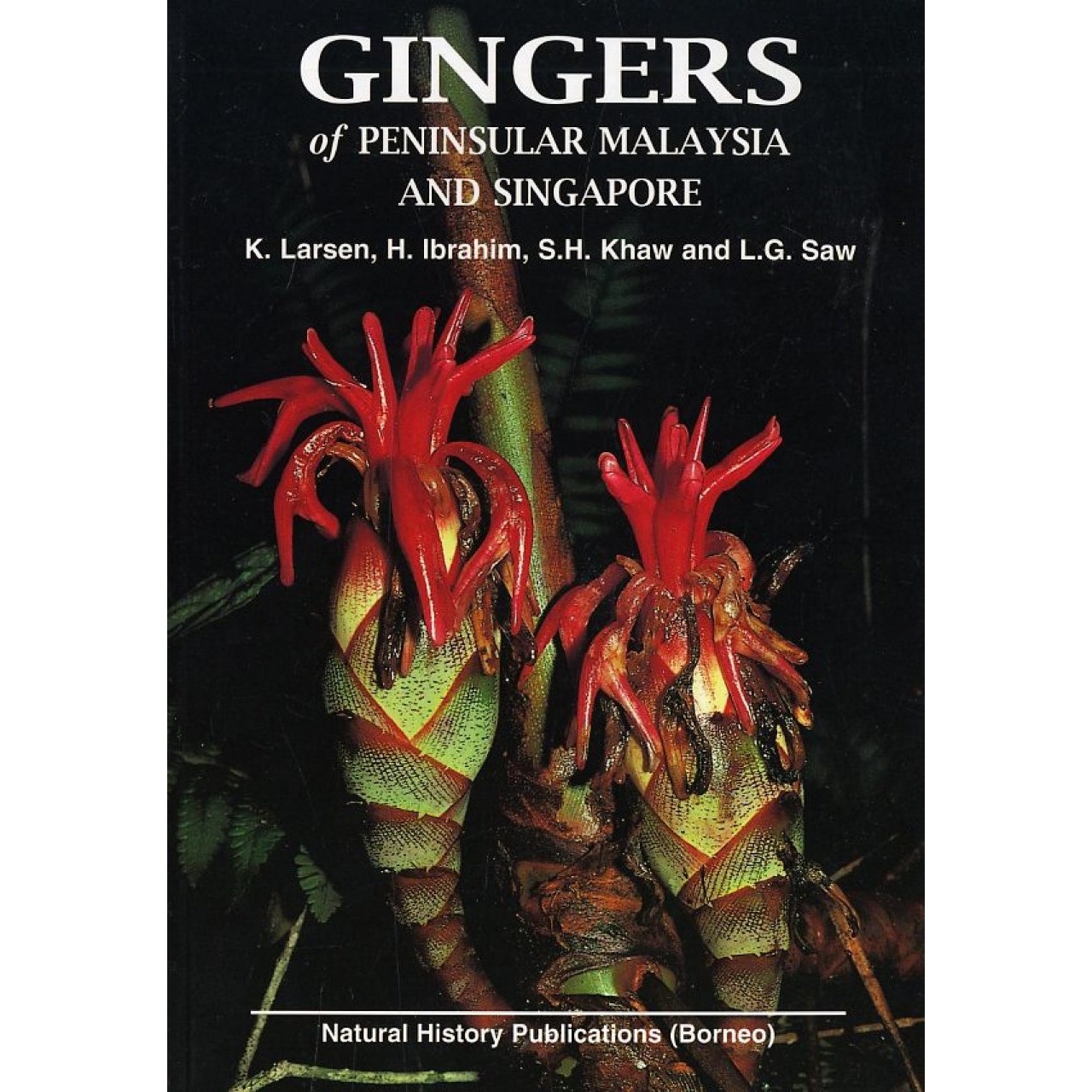 Gingers of Peninsular Malaysia and Singapore
