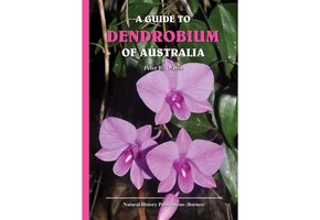A Guide to Dendrobium of Australia
